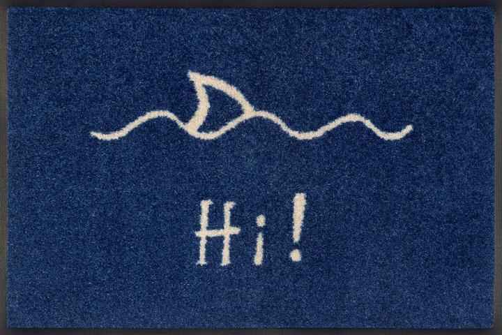 Image du produit Wash + Dry Paillasson "Hi (40 x 60 cm)