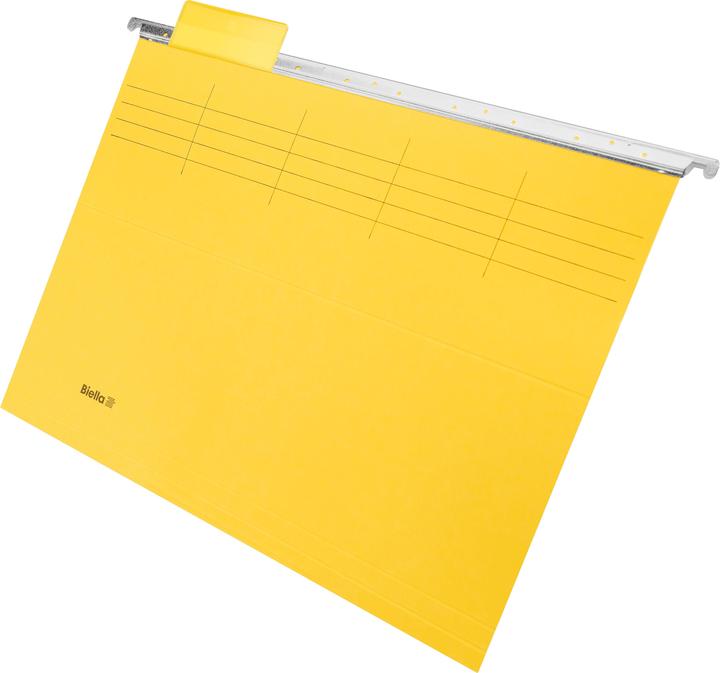 Actual product image Biella Suspension file (A4, 25 x)