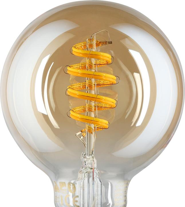 Image du produit EGLO Sources lumineuses (E27, 4.90 W, 360 lm, 1 x, G)