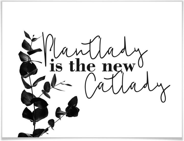 Produktbild Trenddeko Plantlady is the new catlady (80 x 60 cm)
