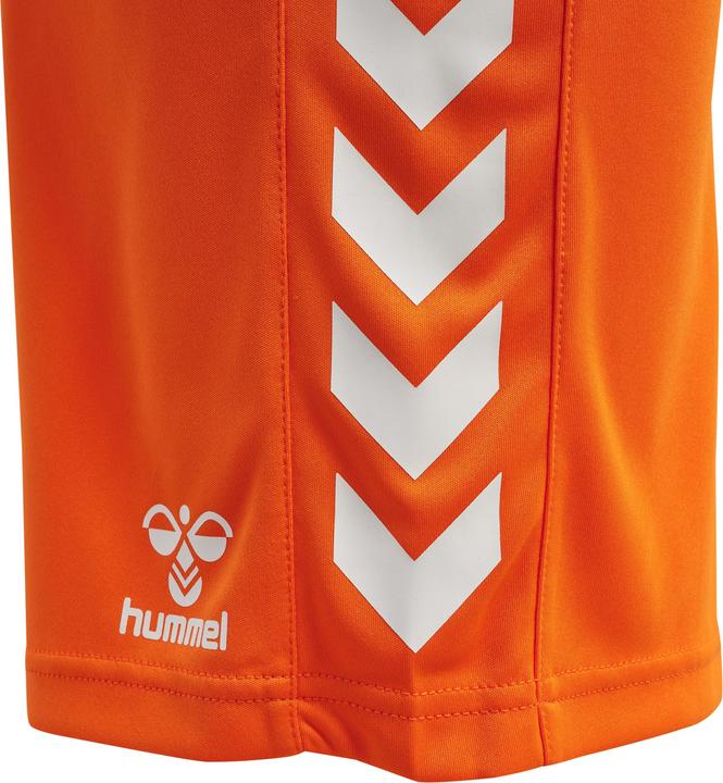 Actual product image hummel Core Xk Poly Shorts Kids (164)