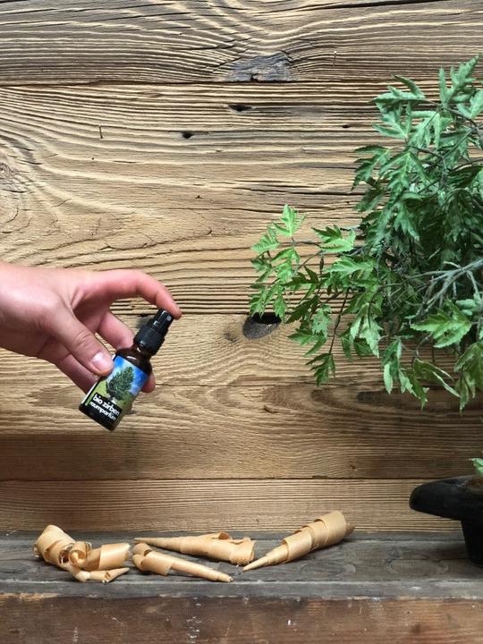 Produktbild ZNatur Bio naturreiner Zirben Arven Holz Raumduft Raumspray Spray angenehmer Waldduft 30 ml No.119