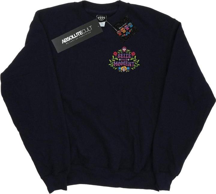 Disney Coco Seize Your Moment Sweatshirt (XL)