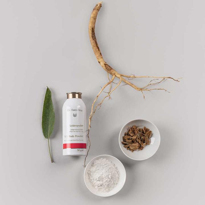 Image du produit Dr. Hauschka Poudre de soie (Talc, 300 ml)