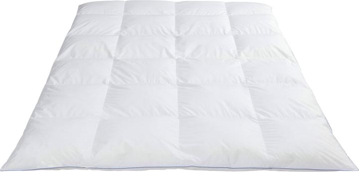 Actual product image Erwin Müller Bernau (740 g, 155 x 200 cm)