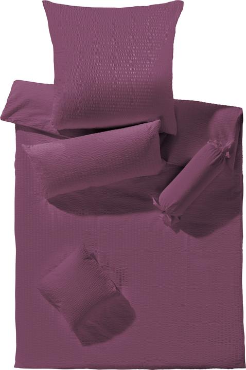 Aubergine