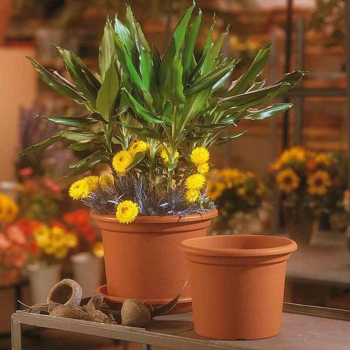 Produktbild Euro3plast Pflanzkübel (35 cm)