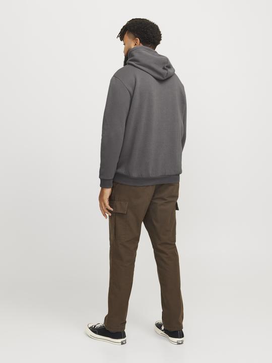 Produktbild Jack & Jones Jjebradley Sweat Hood Noos Pls (XXL)