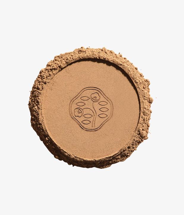 Actual product image Shiseido Tanning (Honey)