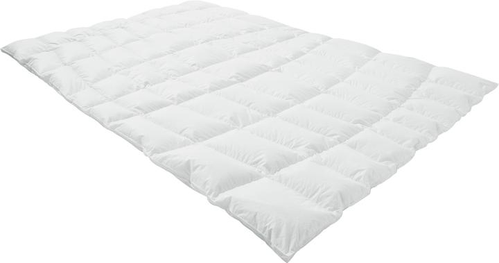Actual product image Erwin Müller St. Petersburg (500 g, 155 x 220 cm)