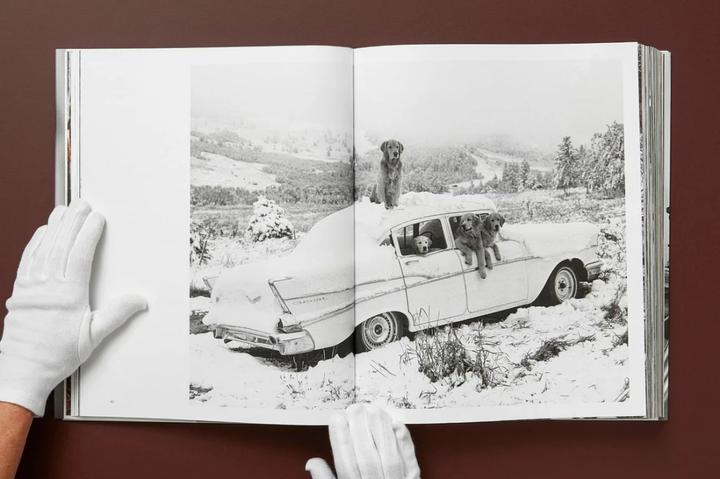Produktbild Bruce Weber. The Golden Retriever Photographic Society (Deutsch, Französisch, Englisch, Jane Goodall, 2021)