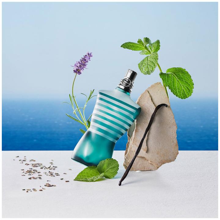 Produktbild Gaultier Le Male (Eau de Toilette, 125 ml)