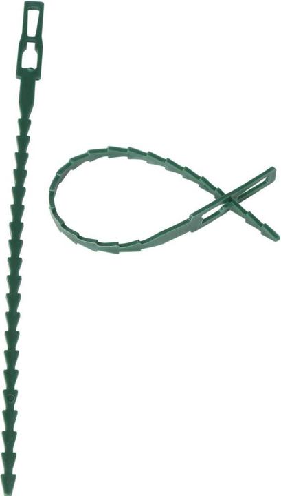 Siena Garden Plant Binder (17 cm, 800 cm)