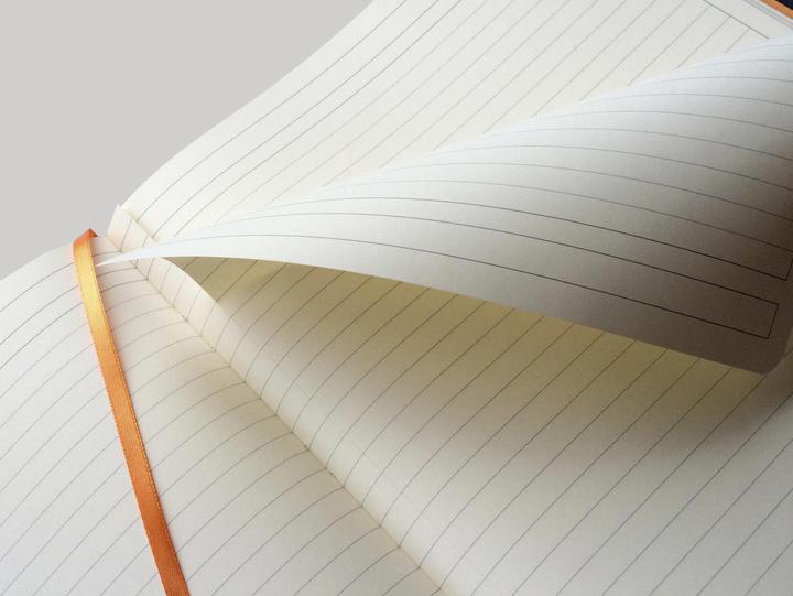 Image du produit Rhodia Carnets et cahiers Rhodiarama (A4+, À rayures, Couverture souple)