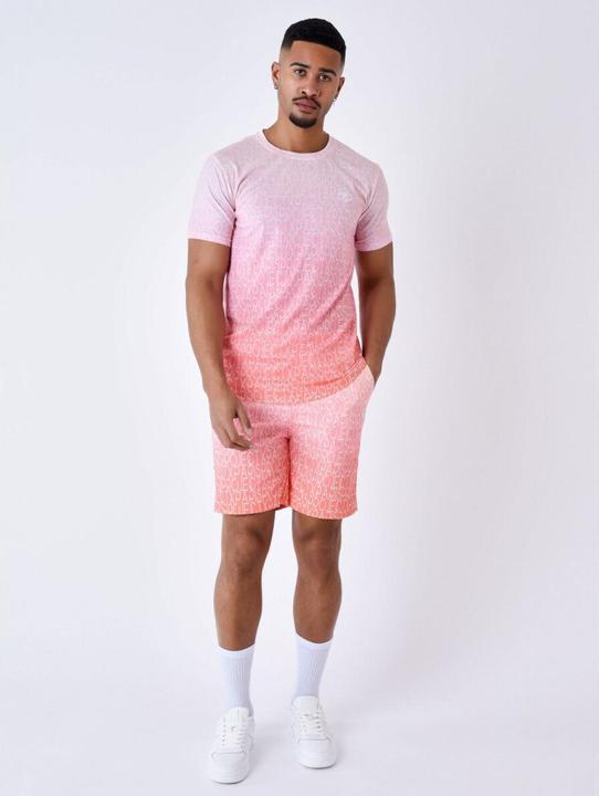 Actual product image Project X Paris two-tone gradient effect t-shirt (XL)