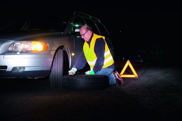 Immagine prodotto Dunlop Sicherheitsweste (Taglia unica)
