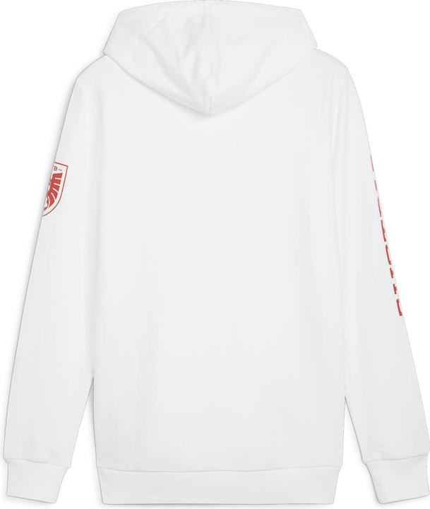 Actual product image Puma ÖFB Ftblicons Hoody (3XL)