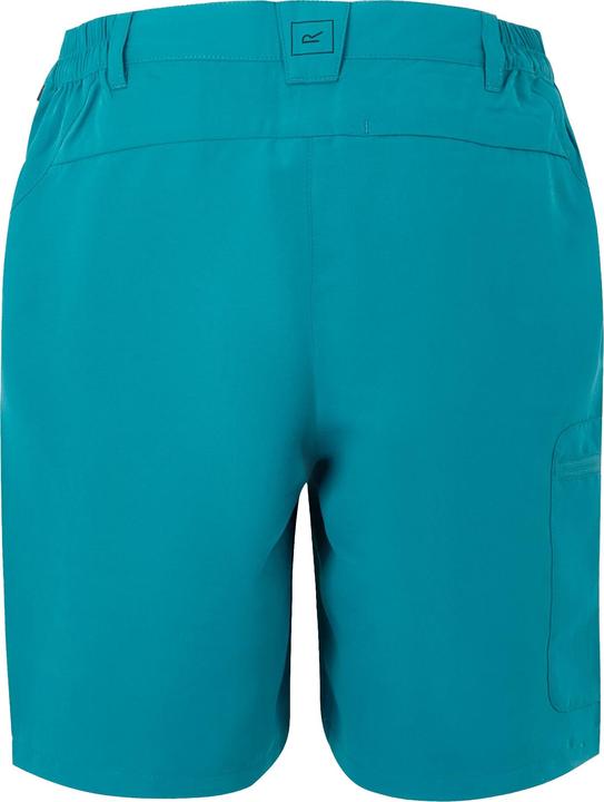 Immagine prodotto Regatta Chaska III Pantaloncini Escursionismo Donna (38 D)