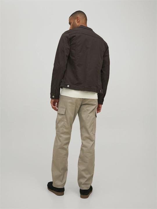 Actual product image Jack & Jones Kane Pablo Cargo Trousers (32)