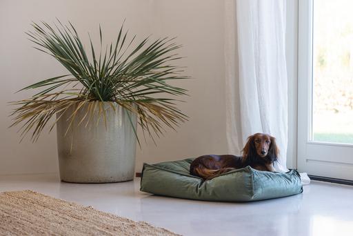 Productafbeelding Designed by Lotte Nalino (Hond)