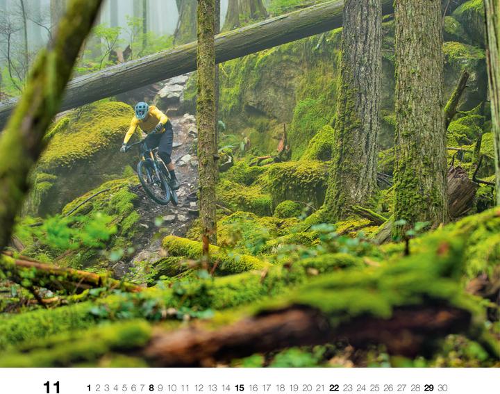 Produktbild Freeride 2026 (Deutsch)