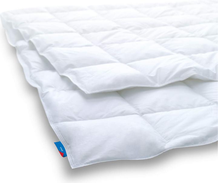 Image du produit Dauny Couette d'été Climaactive® Plus Superlight (240 g, 160 x 210 cm)