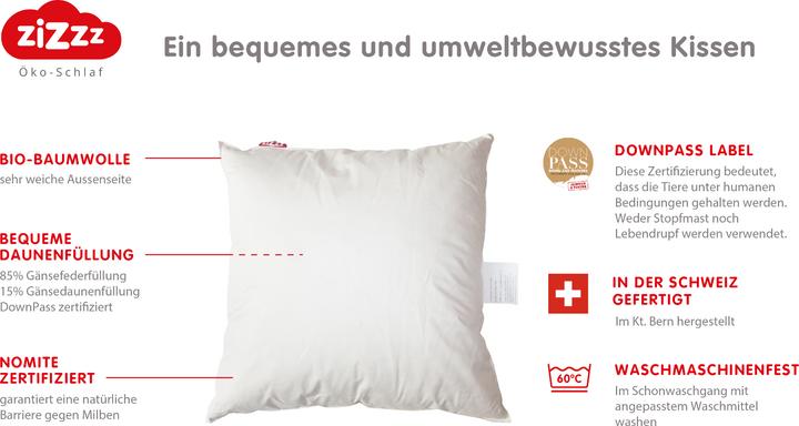Immagine prodotto Zizzz Cuscino in piuma d'oca Premium (40 x 60 cm)