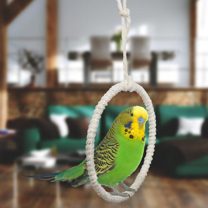Image du produit Relaxdays 2x balançoire oiseau