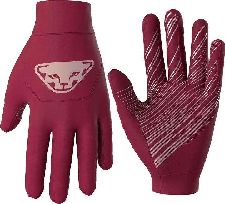 Dynafit Upcycled Speed Handschuhe