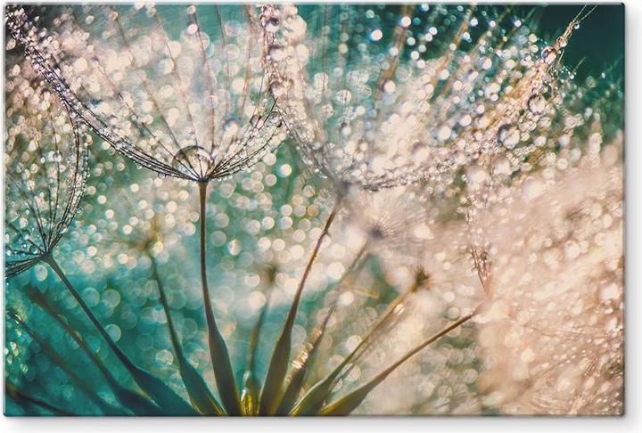 Image du produit Trenddeko Pissenlit scintillant (40 x 60 cm)