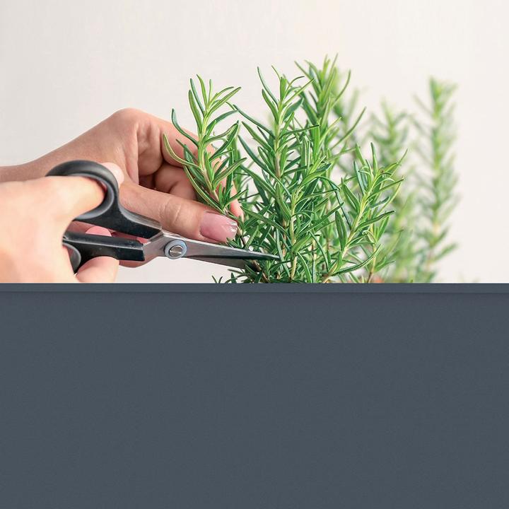 Actual product image Herstera Urban Garden