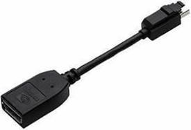 Actual product image PNY DisplayPort adapter (Mini DP, 15 cm)