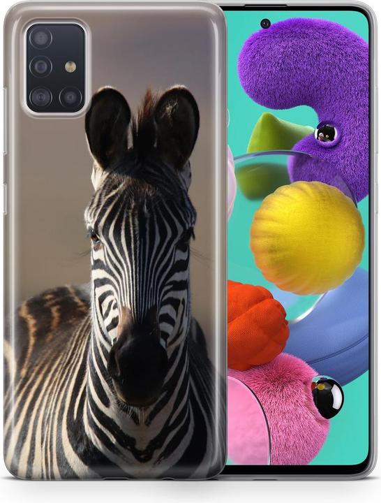 Zebra
