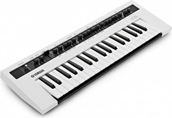 Actual product image Yamaha Reface CS