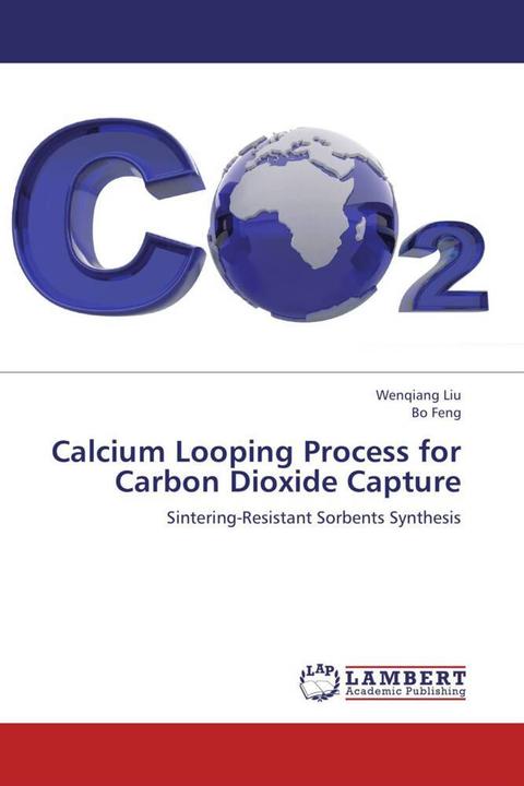 Immagine prodotto Calcium Looping Process for Carbon Dioxide Capture (Tedesco, Wenqiang Liu, Bo Feng, 2013)