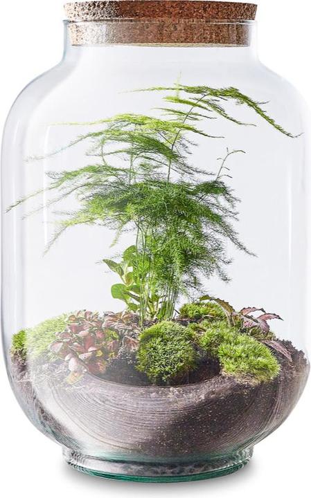 Produktbild Green Bubble Fortunes Garden (34 cm)
