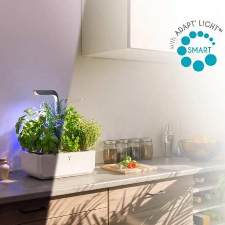 Actual product image Véritable Connect Indoor Garden (18 cm)