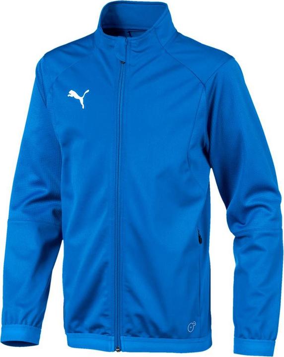 Puma Liga Training Jacket Jr (128)
