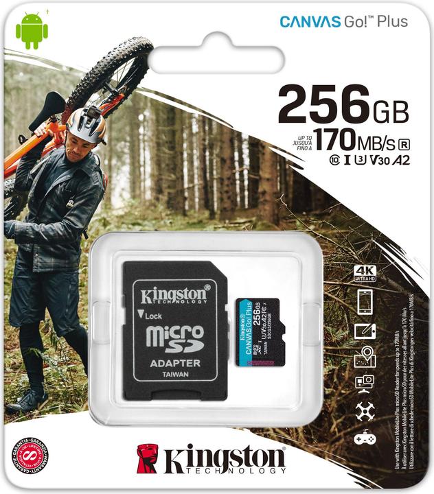Image du produit Kingston Canvas Go! Plus microSD (256 Go, microSDXC, U3, UHS-I)