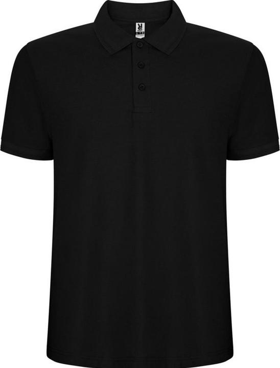 Produktbild Alpinia Pegaso Premium Poloshirt kurzärmlig (4XL)