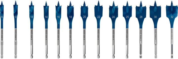 Bosch Professional Zubehör EXPERT Self Cut Speed Flachfräsbohrer-Set, 10/12/13/14/16/18/20/22/24/25/28/30/32 mm, 13-tlg. (10, 12, 13, 14, 16, 18, 20, 22, 24, 25, 28, 30, 32 Millimeter)