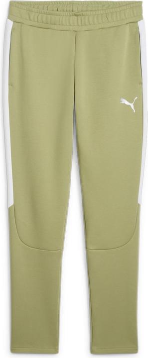 Puma teamEVOSTRIPE Pants