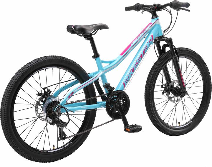 Bikestar Hardtail mountain bike (33.02 cm)