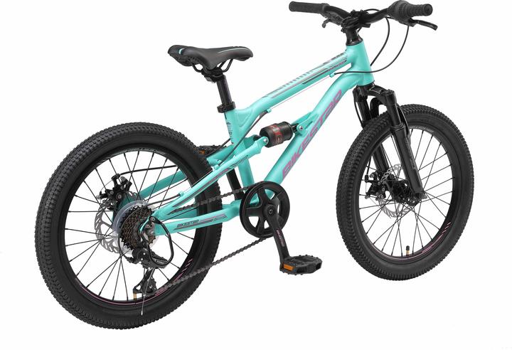 Actual product image Bikestar Fully (20")