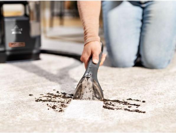 Actual product image Bissell Stain cleaner