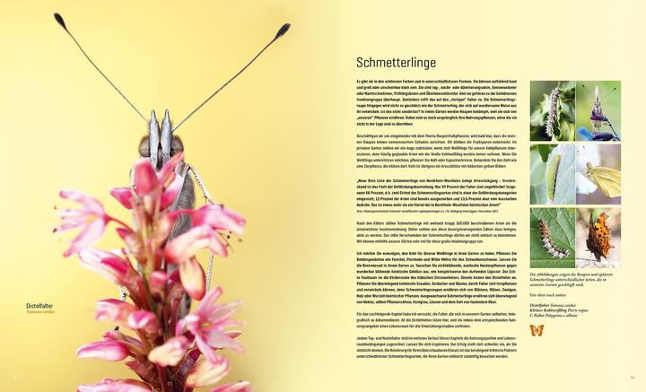 Produktbild Mein Artenretter Garten (Deutsch, Anja Eder, 2024)