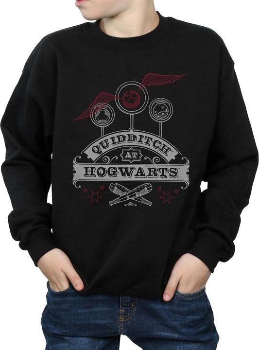 Produktbild Quidditch At Hogwarts Sweatshirt Jungen (116)