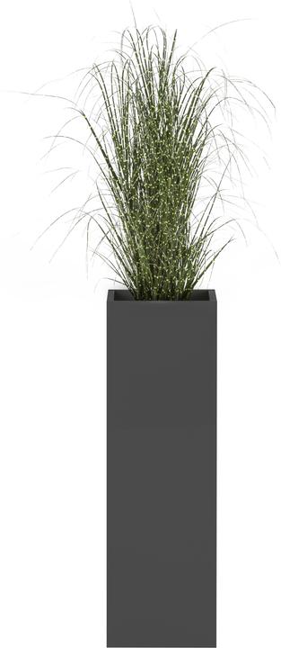 Actual product image Schildmeyer 1500 series (25.5 x 25 x 80 cm)