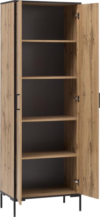 Produktbild Schildmeyer Serie 2000 (65.5 x 39 x 194.5 cm)