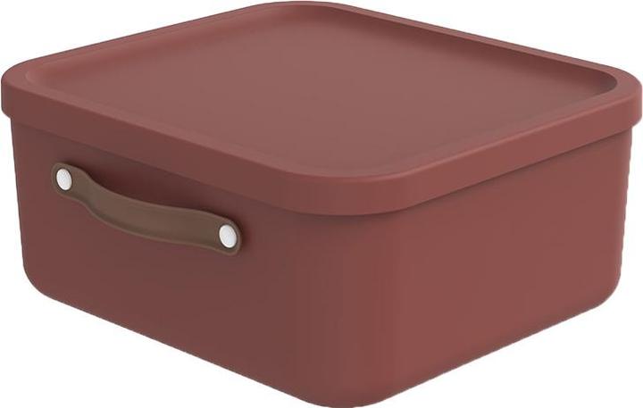 Image du produit Rotho Boîte de rangement Maloja 20 l, Iron rouge (20 l)